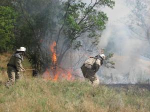 За сутки в Запорожской области произошло  13 пожаров в экосистемах
