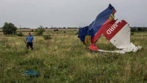 Чехи знают, кто сбил малайзийский Boeing