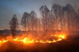 В Запорожской  области пожарные за сутки ликвидировали 15 пожаров