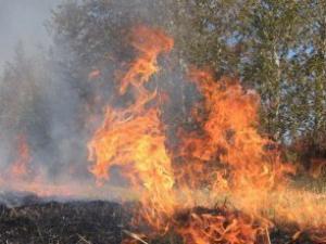 4 июля в Запорожской области произошло 12 пожаров