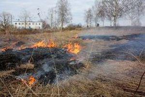 Запорожские спасатели за сутки ликвидировали 10 пожаров