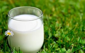 В Украине цены на молоко становятся выше