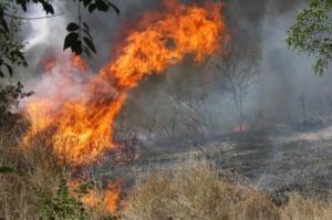 За сутки в Запорожской области произошло 8 пожаров