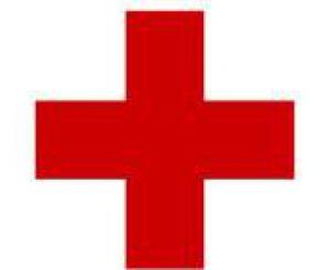В Украину направят руководителя регионального отделения Красного Креста