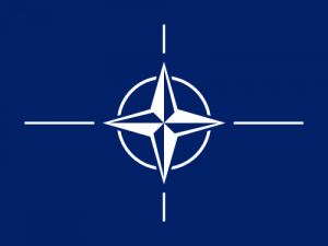 Военные учения НАТО пройдут в Польше и в странах Балтии