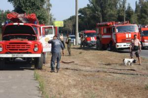 В Запорожье возле Вознесеновского рынка сгорело 3 га территории — фото