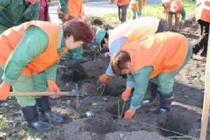 Запорожье украсили цветами