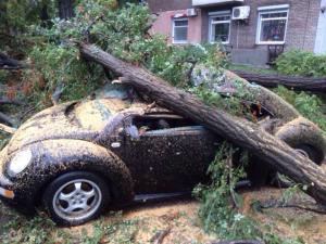Поваленные деревья, разбитые машины и оборванные линии электропередач в Запорожье   (Фото)