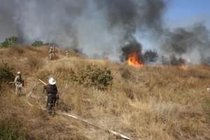 За сутки запорожские спасатели ликвидировали 22 пожара