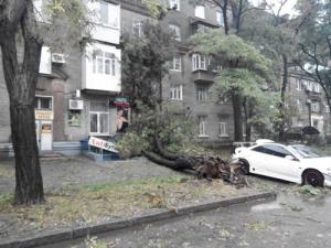 Стихия в Запорожье: для ликвидации последствий не хватает топлива