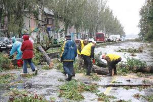 В Запорожье коммунальщики продолжают устранять последствия урагана