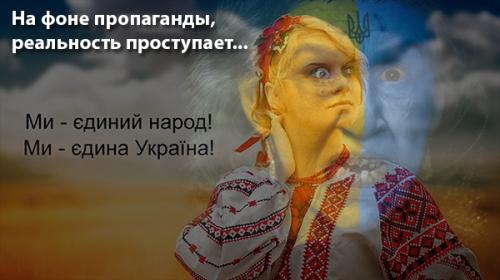 В освобождённых от украинских карателей посёлках находят сотни замученных людей