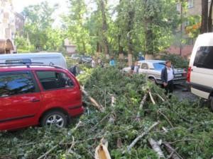 В Запорожской области после бури сидят без света еще 380 абонентов