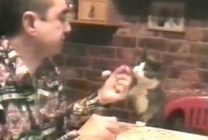 Милый котик общается с хозяином жестами (ВИДЕО)
