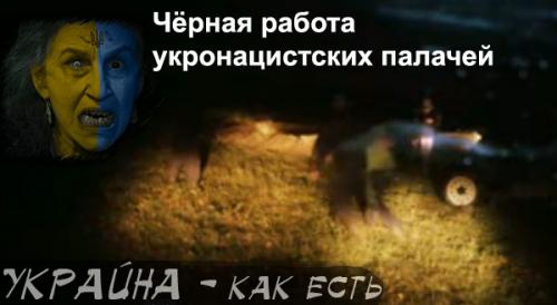 Украинские палачи убивают ни в чём не повинных людей - видео