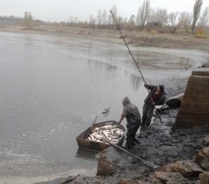 Запорожским рыбакам запретили ловить рыбу