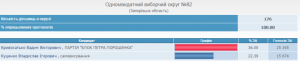 ЦИК огласила, кто стал нардепом в 82-м округе