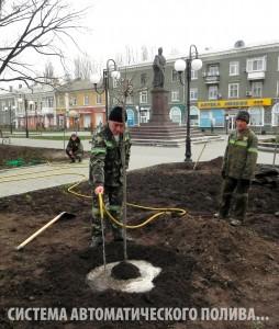 В Бердянске местным специалистам озеленение не доверили