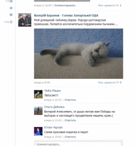 Запорожский губернатор «постит» фотографии своего котика