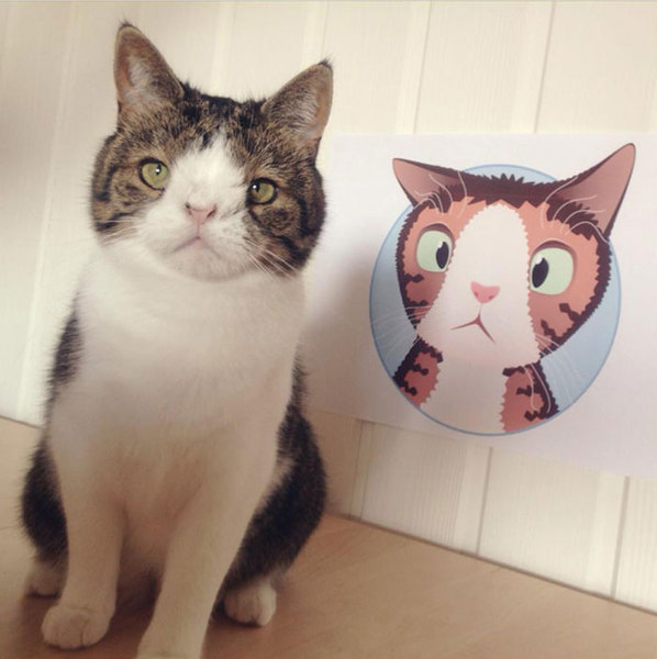 В интернете гуляет фото кота с самой необычной внешностью