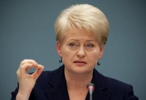 Литва настаивает на военной помощи Евросоюза Украине