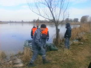 В киевском селе спасатели вызволили лебедей из ледяного плена