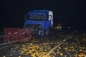 Запорожский водитель рассыпал на трассе кучу мандаринов