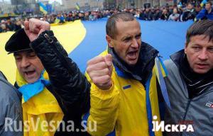 «Основа государственности Украины» зашаталась: галичане устраивают давку, чтобы получить продукты (ВИДЕО)