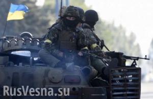 ПиАр-наступление закончилось: Украинские военные попали под огонь артиллерии ДНР и вернулись на свои позиции у Мариуполя