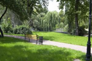 Проект нового парка в Киеве получил всестороннюю поддержку