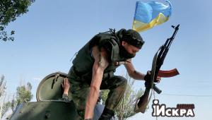 Разоблачительное видео с трофейного телефона украинского военного (ВИДЕО)