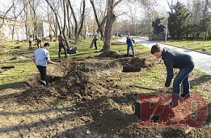 В Запорожской области проходит акция «Зеленый город»