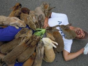 Пушистые кролики захватили остров в Японии