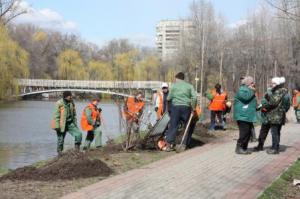 В запорожской «Дубовой роще» высадили 22 вида экзотических растений