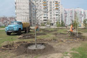 В Запорожье высадили новый сквер