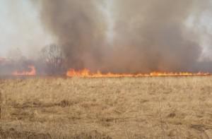 В Запорожской области объявили пожароопасный период
