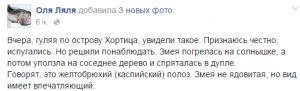 Запорожцы испугались огромной змеи на Хортице