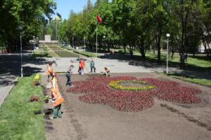 В Запорожье на Аллее Боевой Славы высадили «Мак памяти»