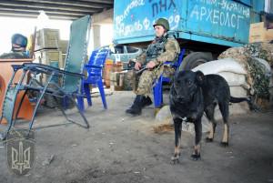 Боевики применили фосфорные бомбы в Песках