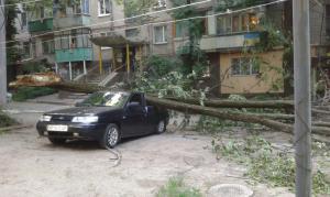 В центре Запорожья дерево смяло половину машины