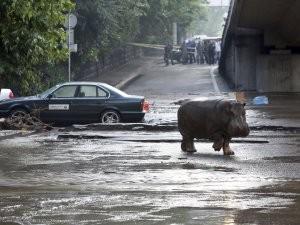 В Тбилиси при мощном наводнении погибли 11 человек