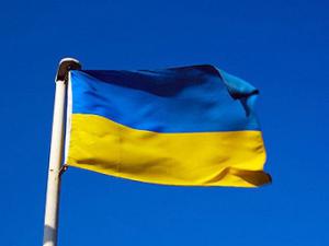 В Запорожье парень украл флаг Украины