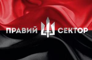 Запорожский «Правый сектор» обвиняет лидера «Автомайдана» в нападении на Тарана