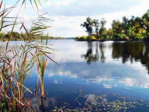 На Гребном канале в Запорожье нашли труп