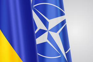 Вступление Украины в НАТО поддерживает до 64% укринцев