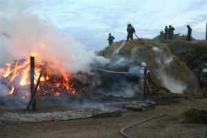 В Запорожской области сохраняется 5 класс пожарной опасности