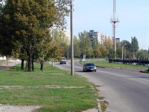 В Запорожье незаконно «рубят» деревья, милиция не вмешивается