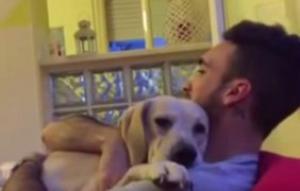 Трогательное видео с собакой набрало  30 миллионов просмотров в Facebook