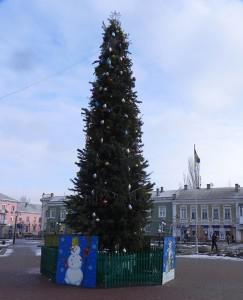 На крону бердянской елочки ушло 150 деревьев