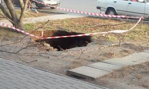 В центре Запорожья дерево провалилось сквозь землю